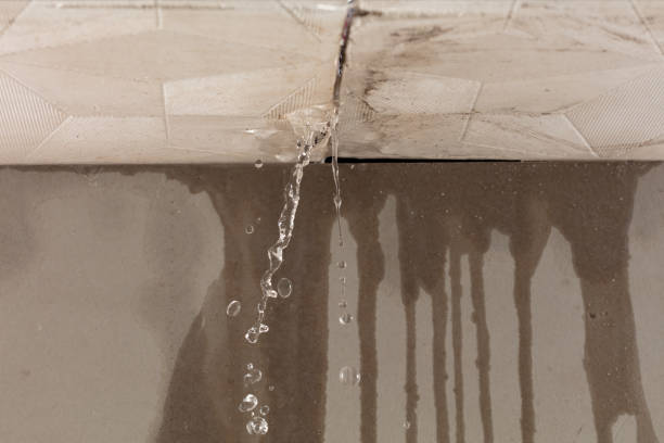 Professional Water Damage Restoration technician working in Curlew, WA